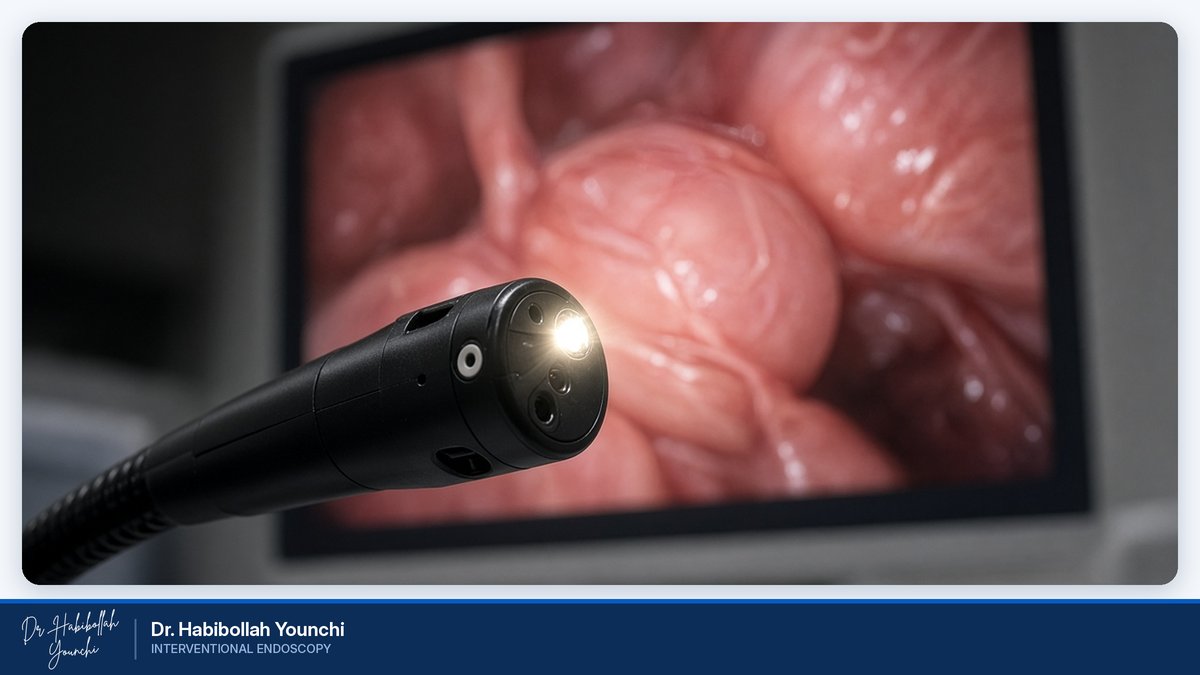 How Magnifying Endoscopy Works How Magnifying Endoscopy Works